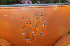 Fire Pit Art Africa's Big Five Fire Pit